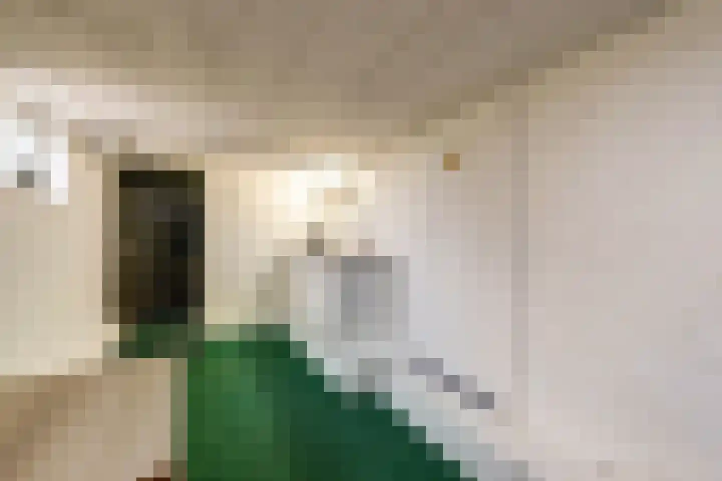 Parallelweg 4 Batenburg thumbnail 41