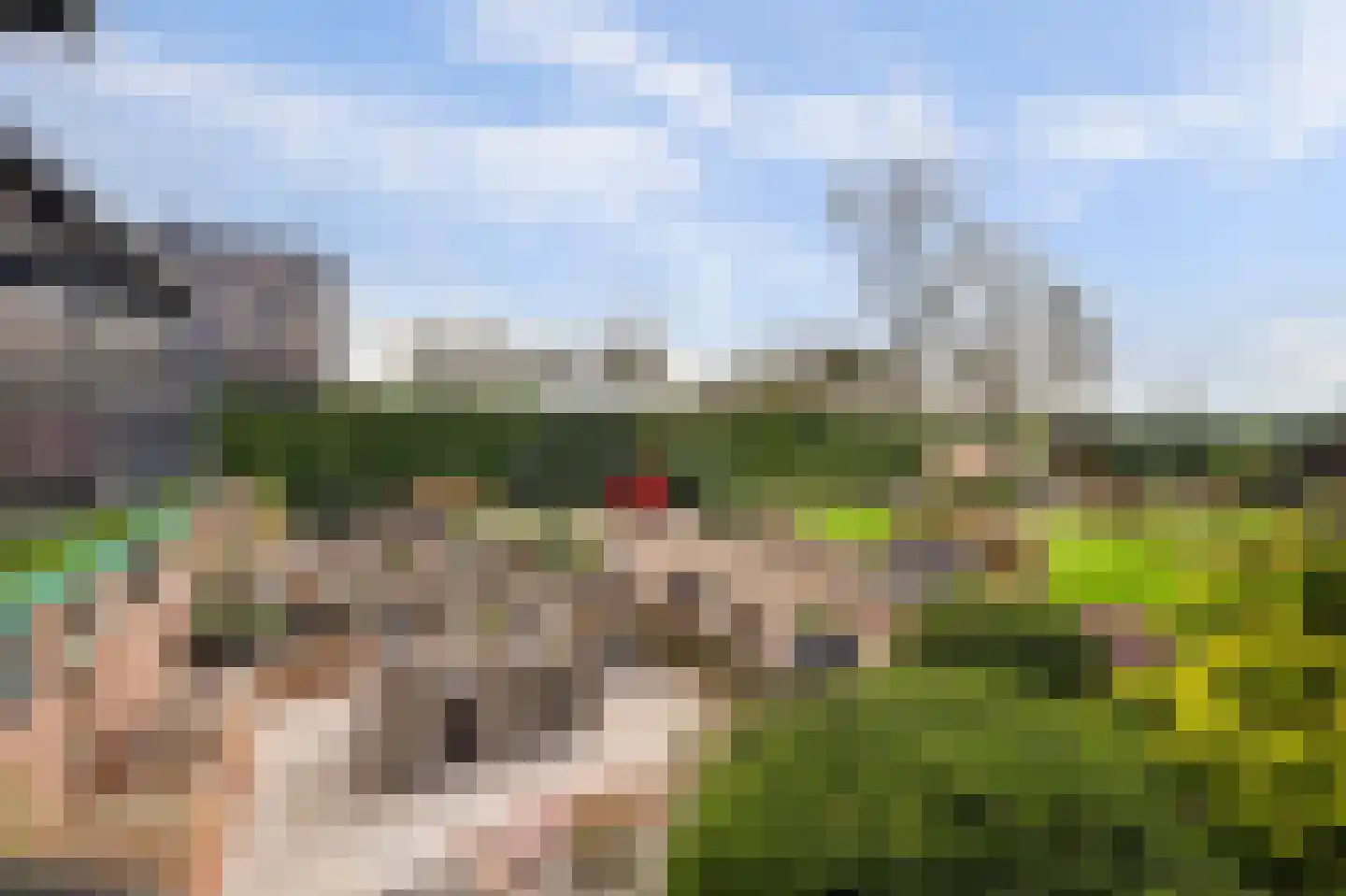 Parallelweg 4 Batenburg thumbnail 50