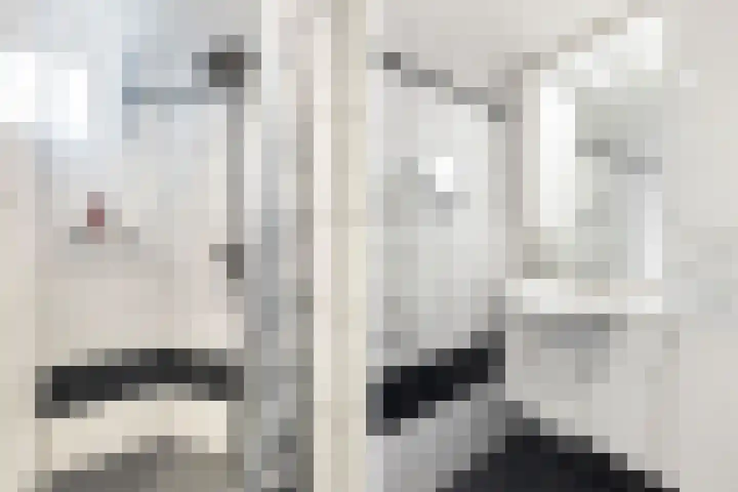 Parallelweg 4 Klaaswaal thumbnail 22