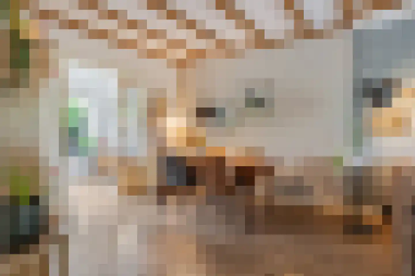 Parallelweg 4 Rhenen thumbnail 11