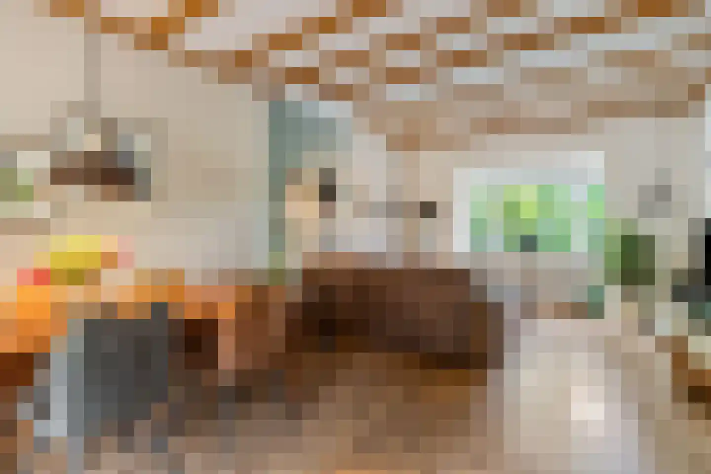 Parallelweg 4 Rhenen thumbnail 8