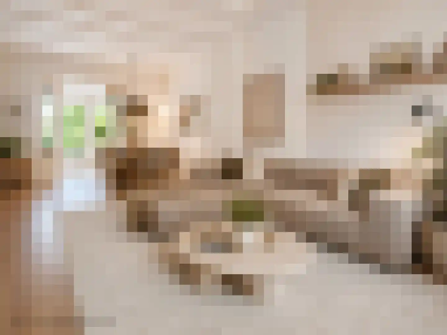 Parallelweg 4 Rhenen thumbnail 8