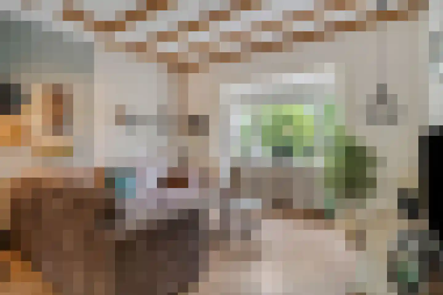Parallelweg 4 Rhenen thumbnail 9