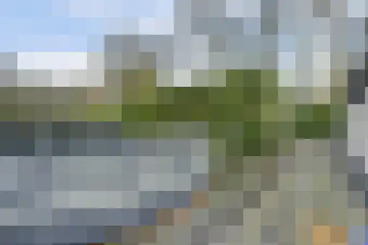 Parallelweg 40 De Krim thumbnail 38