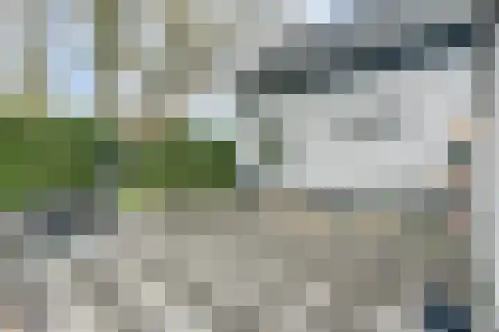 Parallelweg 40 De Krim thumbnail 41