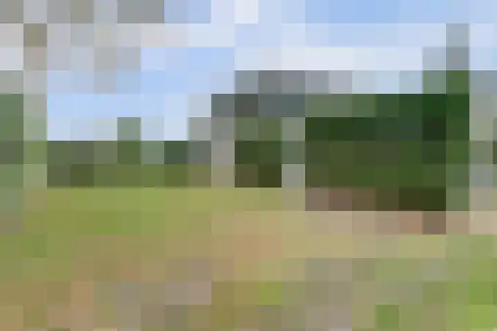 Parallelweg 40 De Krim thumbnail 42