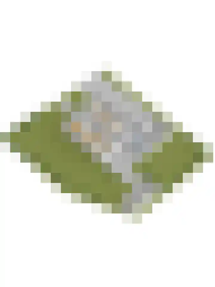 Parallelweg 40 De Krim thumbnail 54