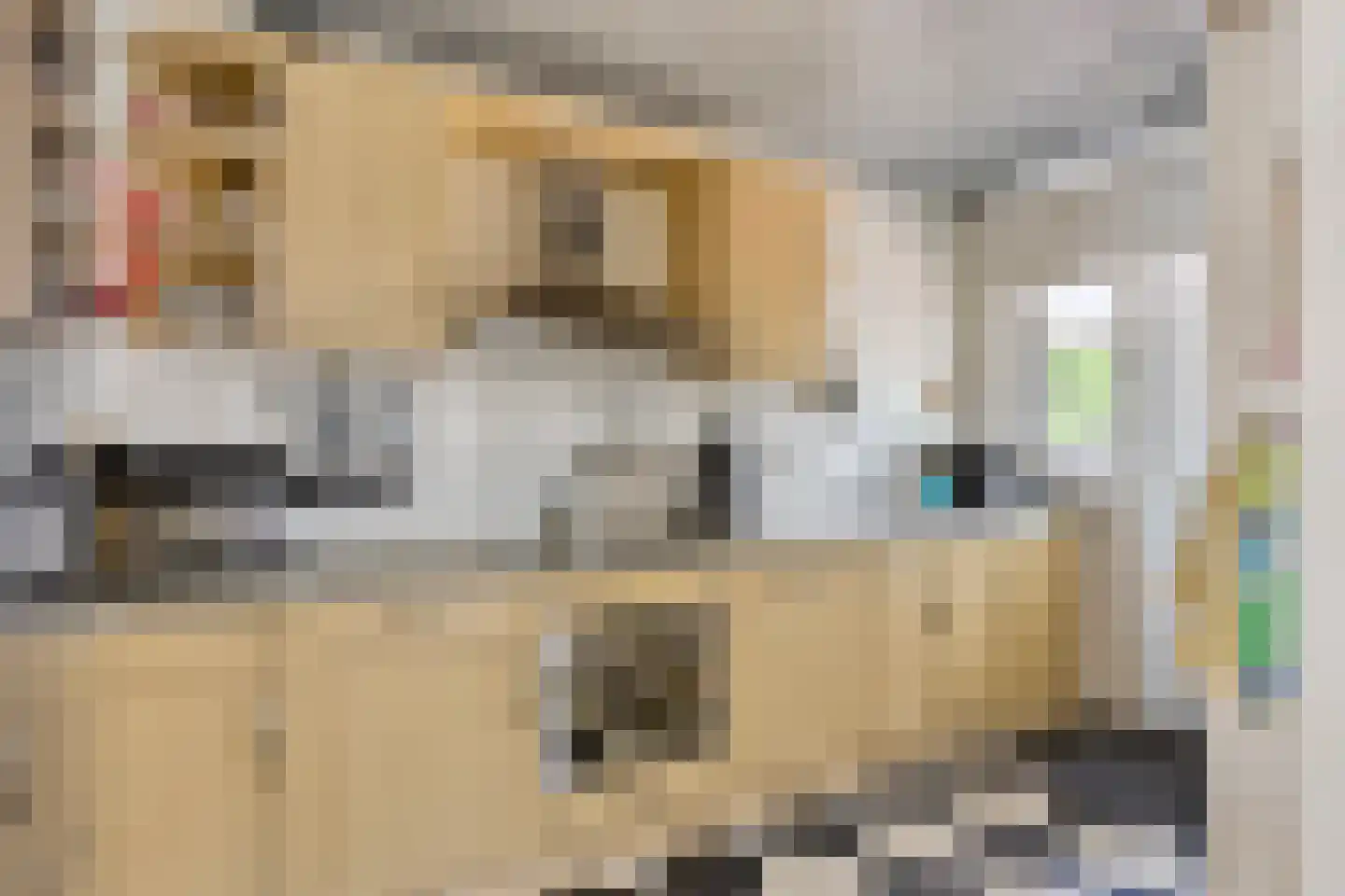 Parallelweg 44 Koog aan de Zaan thumbnail 16