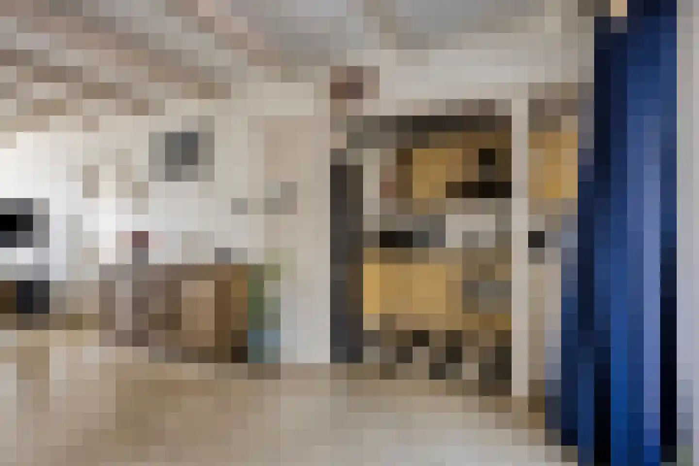 Parallelweg 44 Koog aan de Zaan thumbnail 17