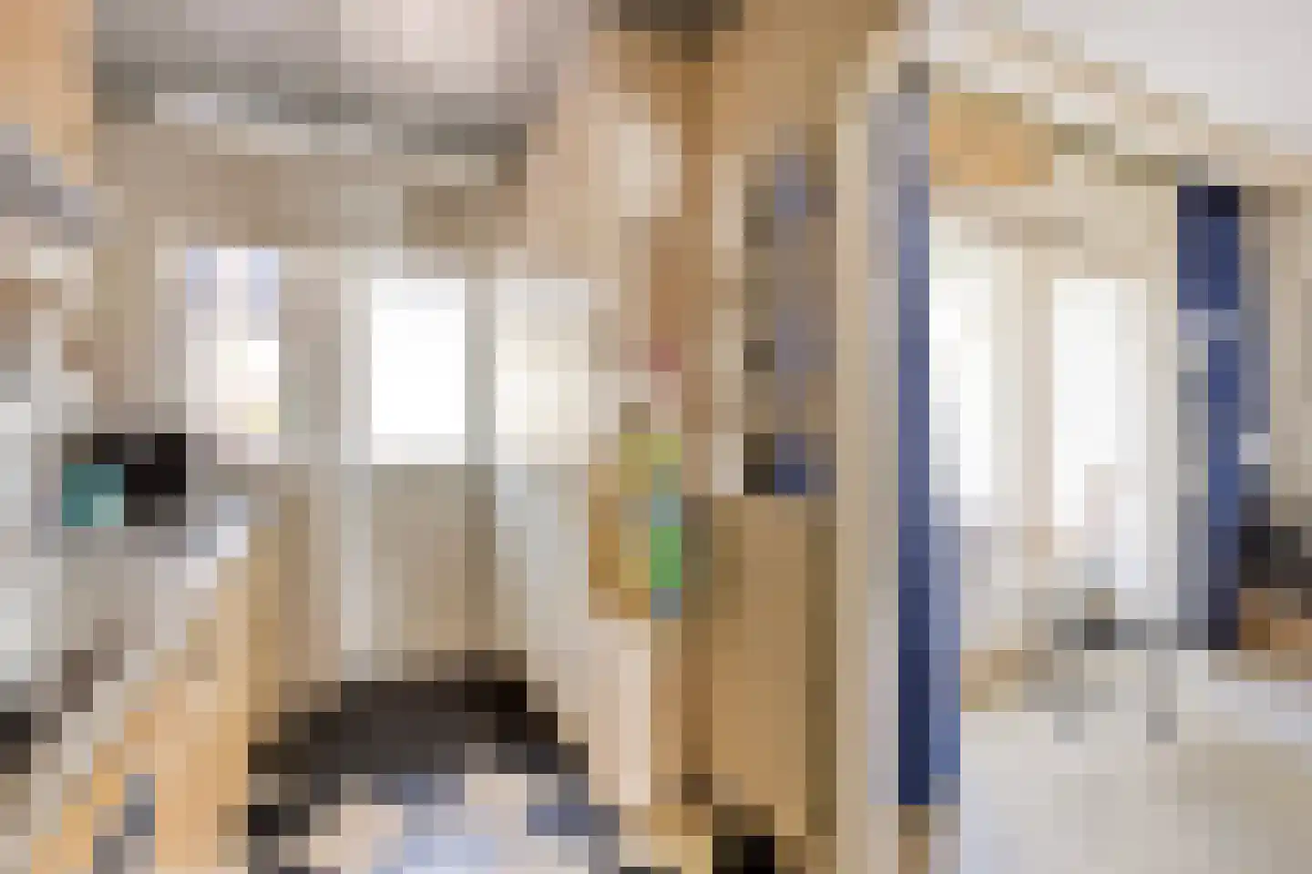 Parallelweg 44 Koog aan de Zaan thumbnail 18
