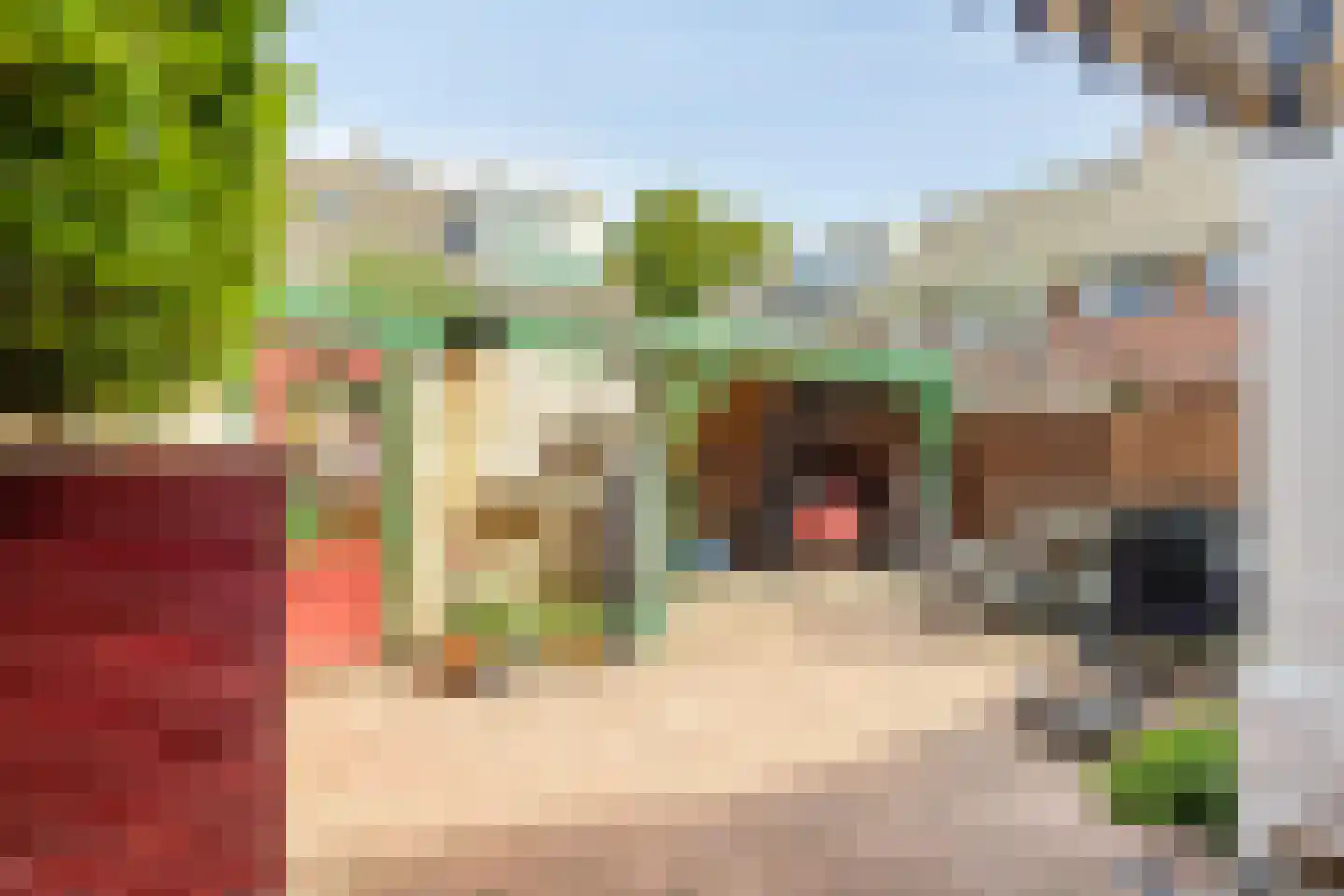 Parallelweg 44 Koog aan de Zaan thumbnail 25