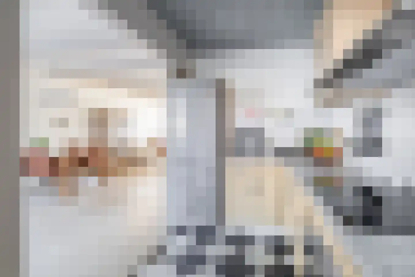 Parallelweg 44 Koog aan de Zaan thumbnail 4