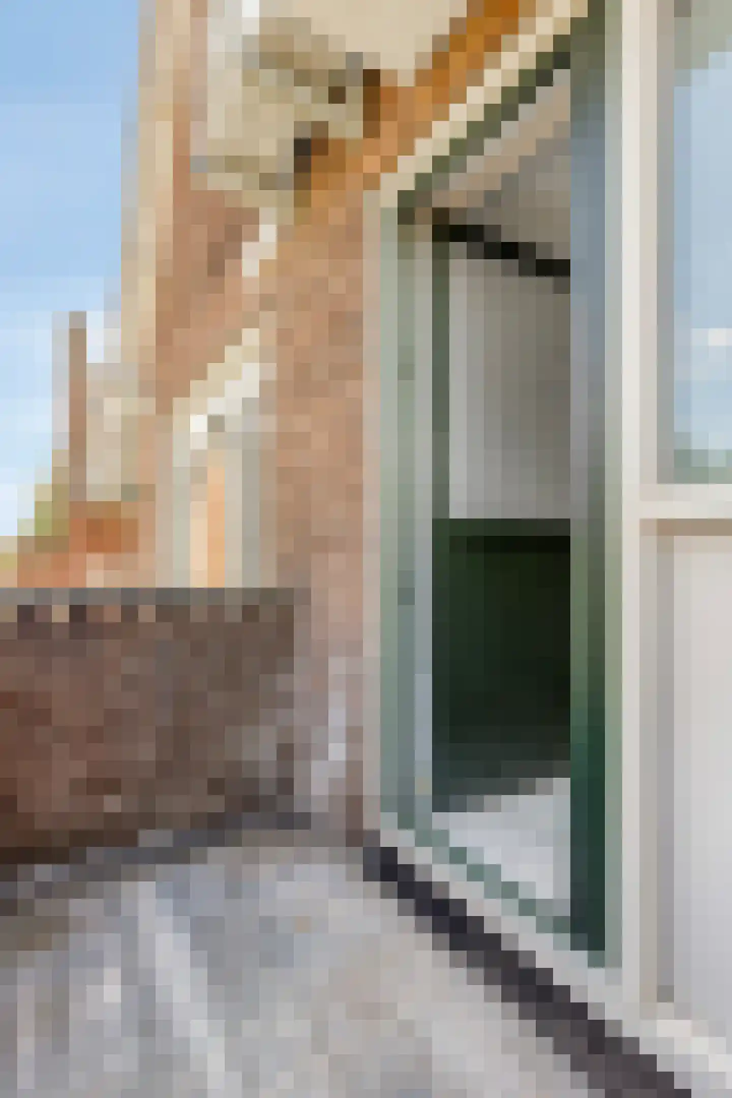 Parallelweg 44 Koog aan de Zaan thumbnail 40