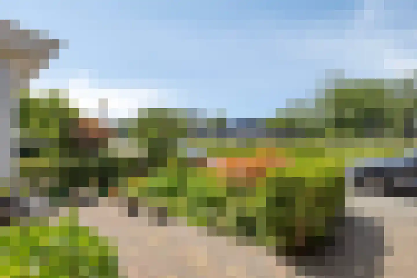Parallelweg 44 Koog aan de Zaan thumbnail 55