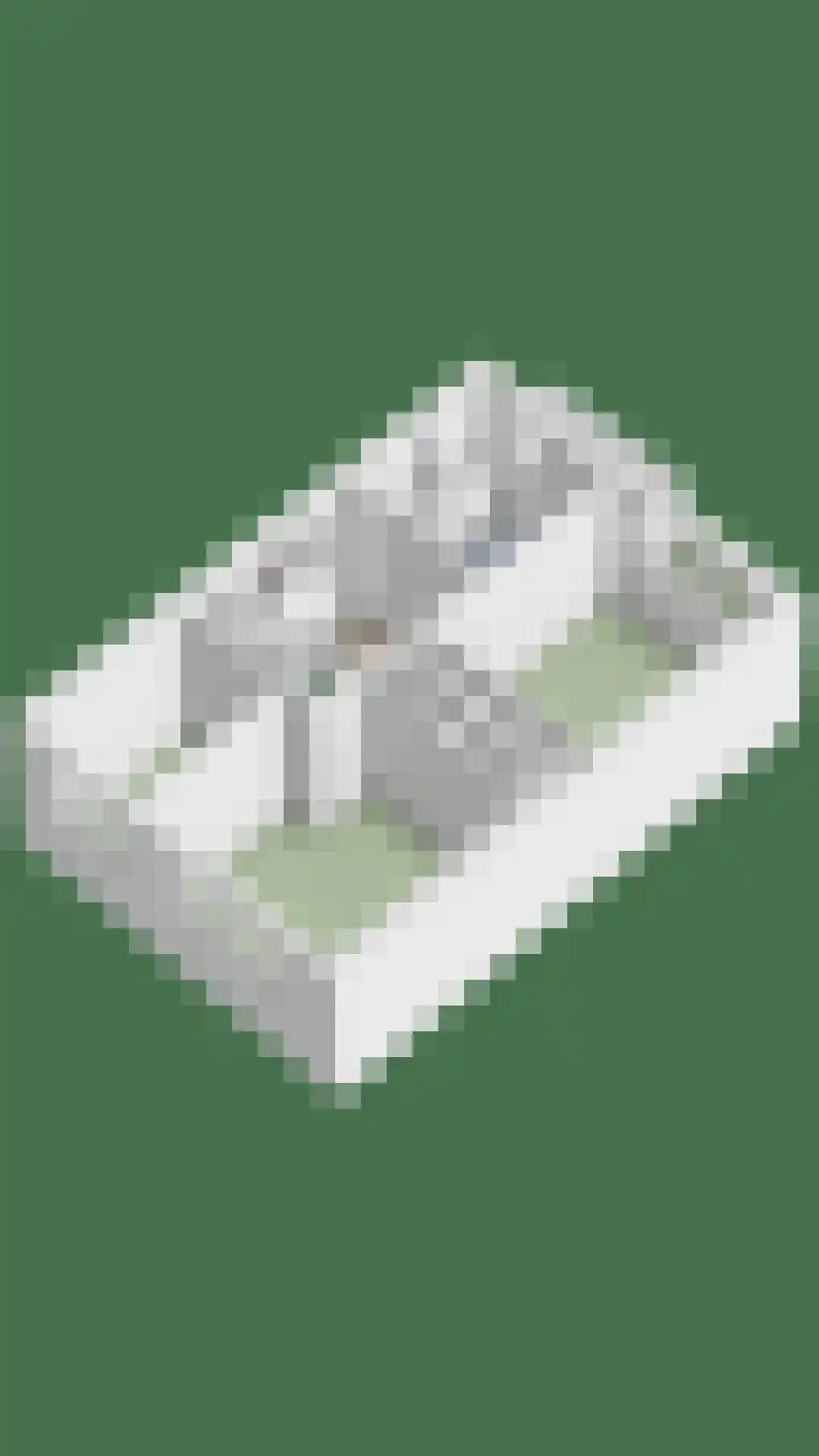 Parallelweg 44 Koog aan de Zaan thumbnail 64