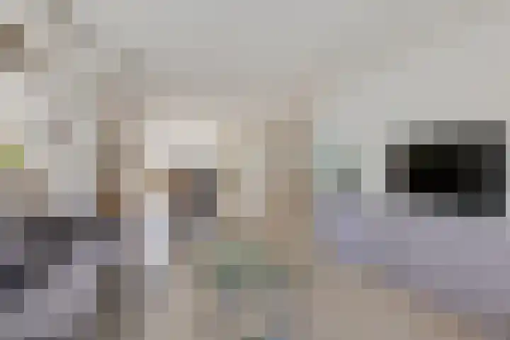 Parallelweg 5 Sint Pancras thumbnail 9
