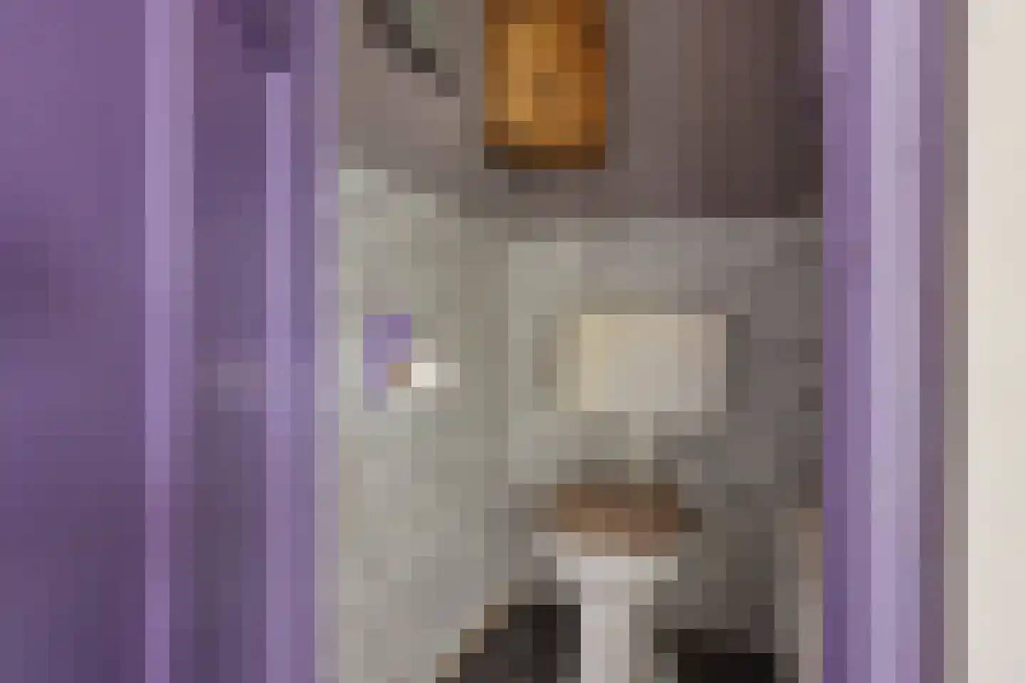 Parallelweg 5 Sneek thumbnail 17