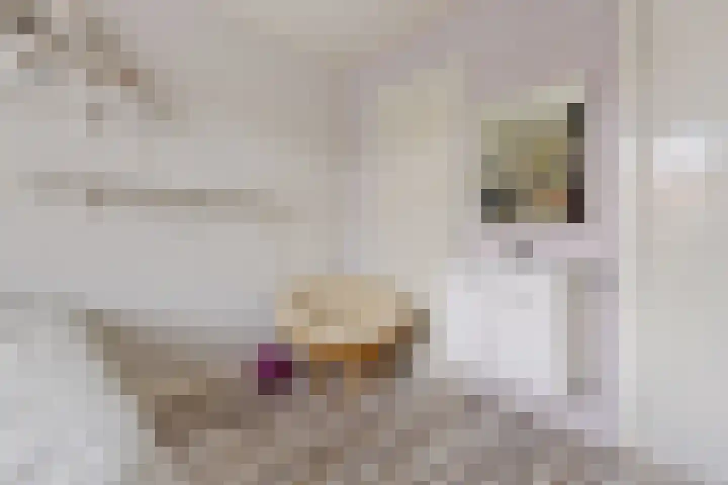 Parallelweg 5 Sneek thumbnail 25