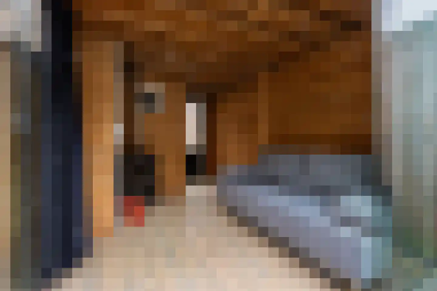 Parallelweg 5 Sneek thumbnail 37