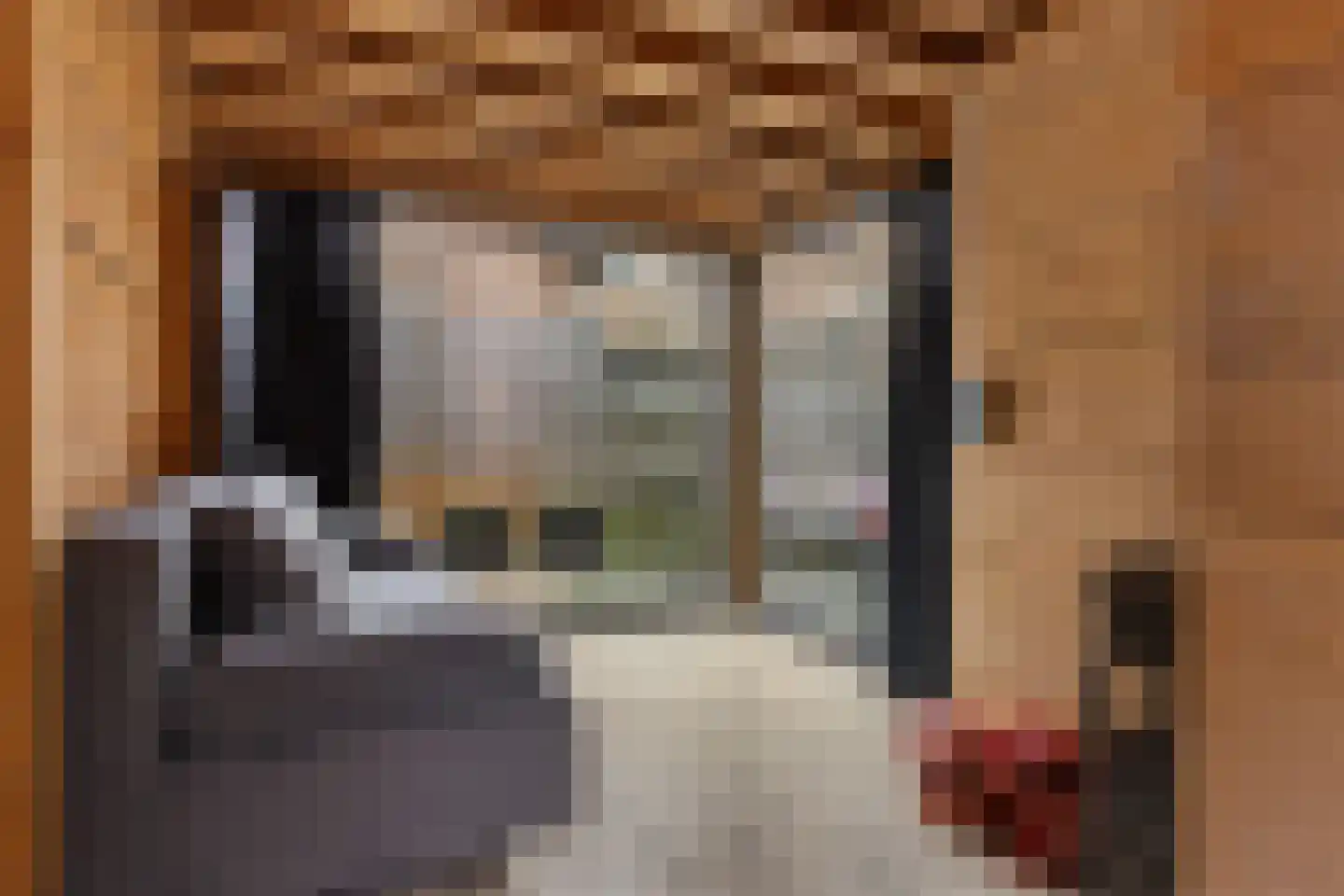 Parallelweg 5 Sneek thumbnail 39