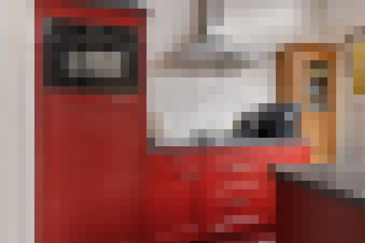 Parallelweg 5 Sneek thumbnail 4