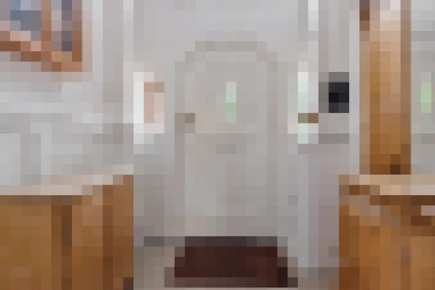 Parallelweg 5 Sneek thumbnail 7