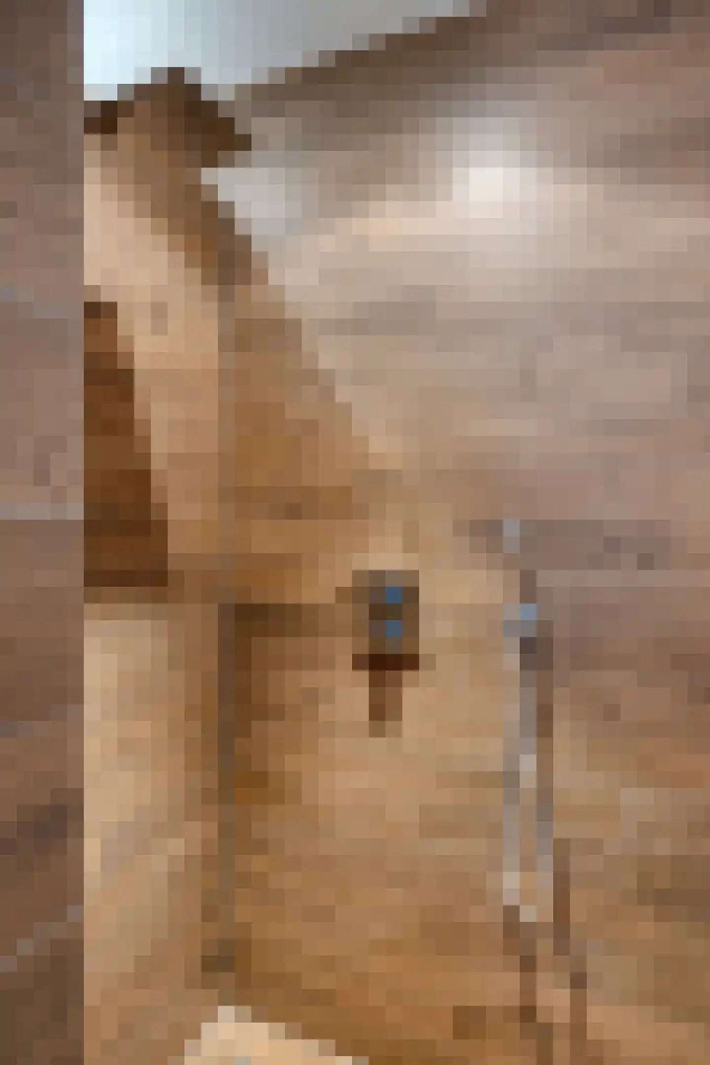 Parallelweg 5 Tegelen thumbnail 27