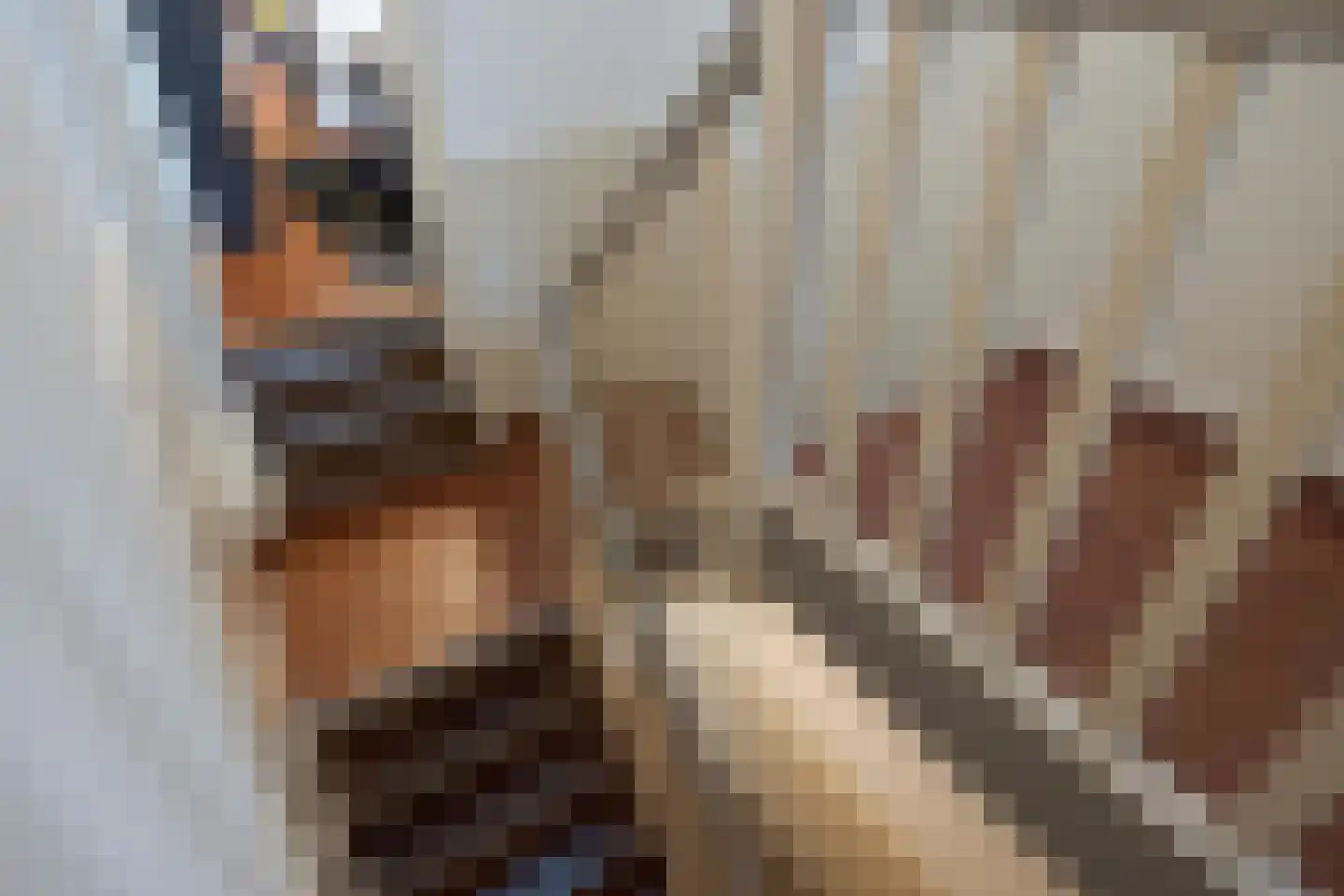 Parallelweg 5 Tegelen thumbnail 30