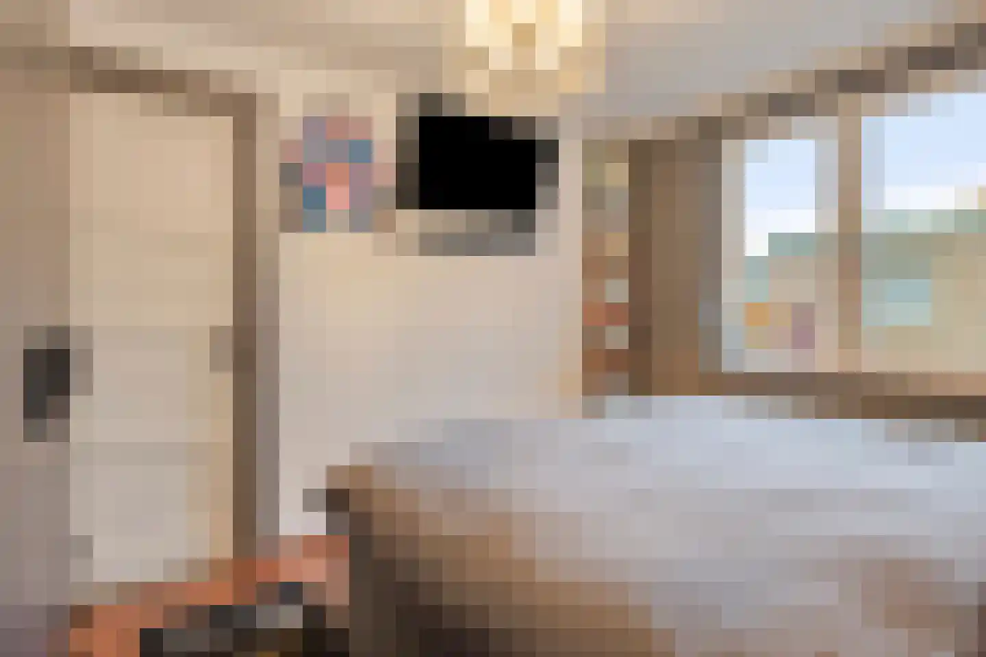 Parallelweg 5 Tegelen thumbnail 36