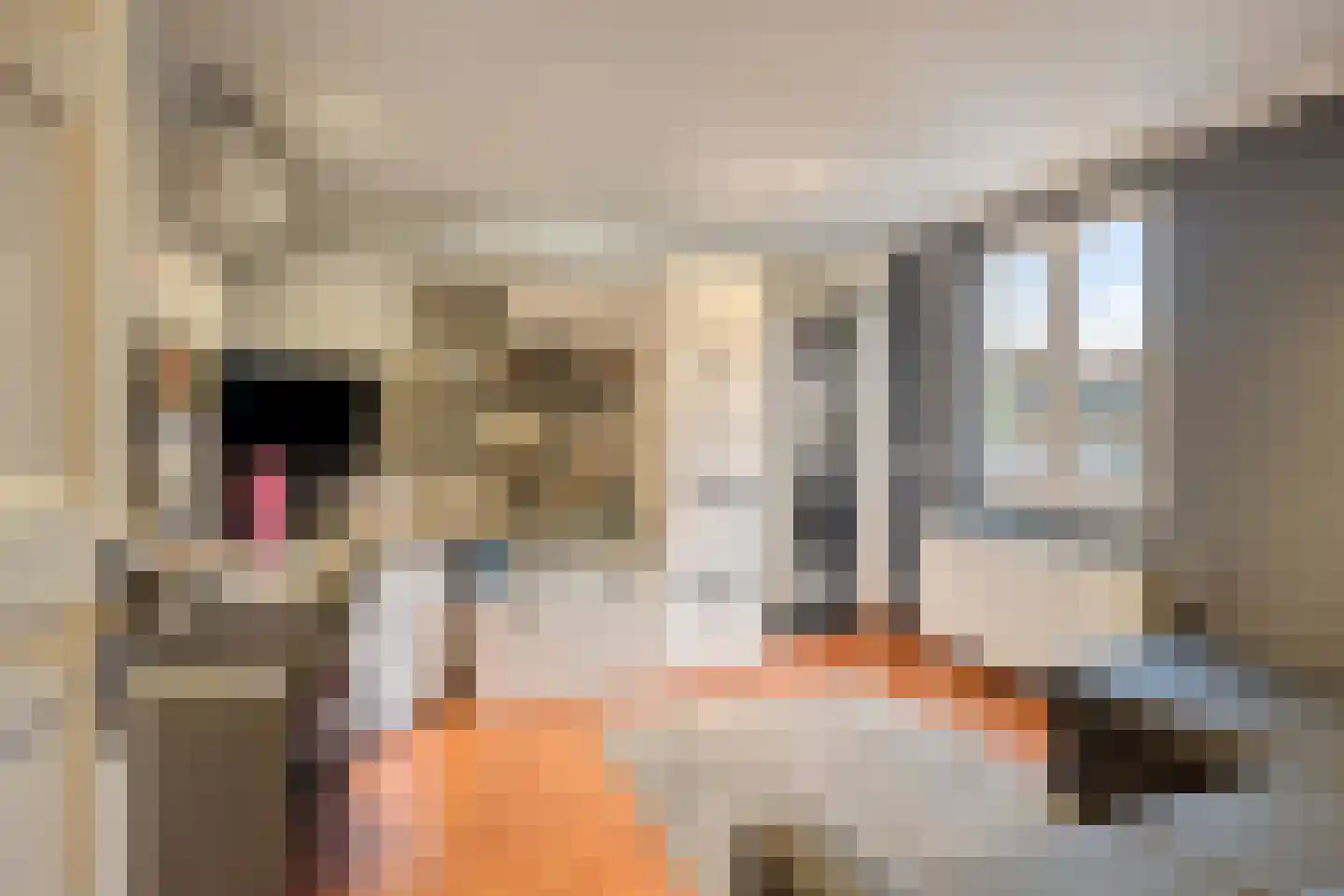 Parallelweg 5 Tegelen thumbnail 38