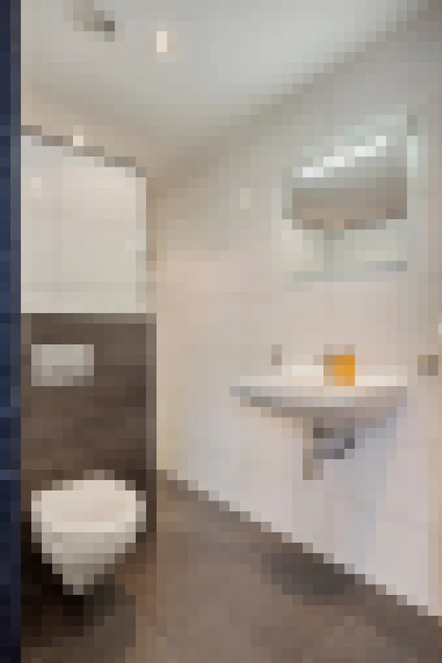 Parallelweg 5 Tegelen thumbnail 39