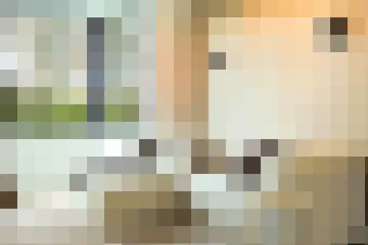 Parallelweg 51 Geldrop thumbnail 11
