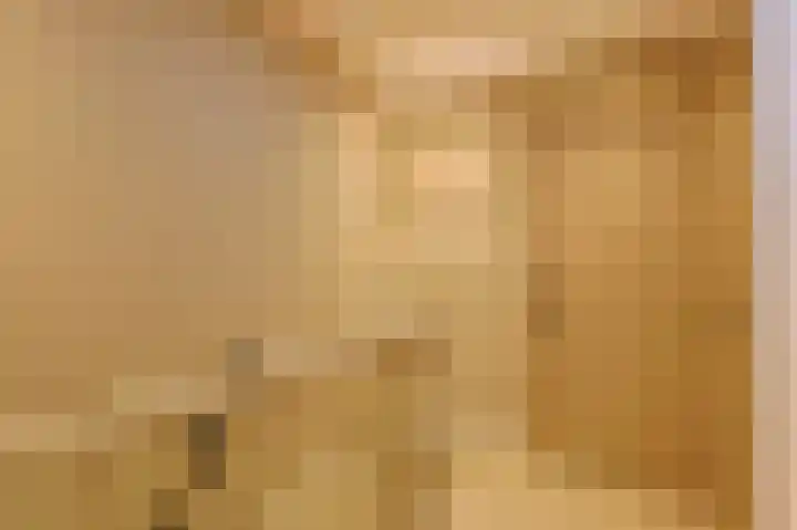 Parallelweg 51 Geldrop thumbnail 38
