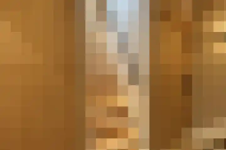 Parallelweg 51 Geldrop thumbnail 39