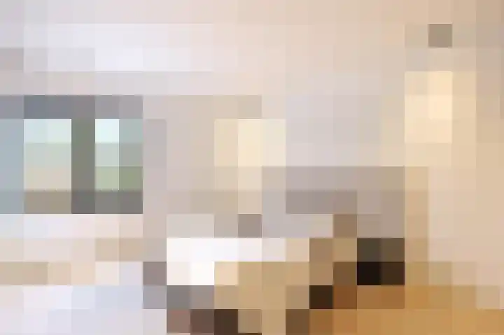 Parallelweg 51 Geldrop thumbnail 42