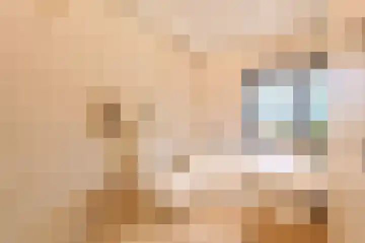 Parallelweg 51 Geldrop thumbnail 48
