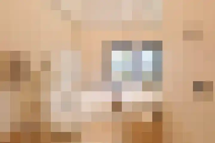 Parallelweg 51 Geldrop thumbnail 49