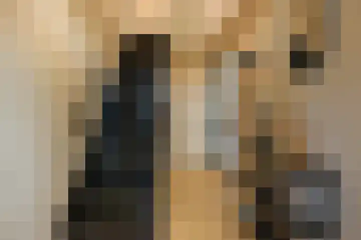 Parallelweg 51 Geldrop thumbnail 5
