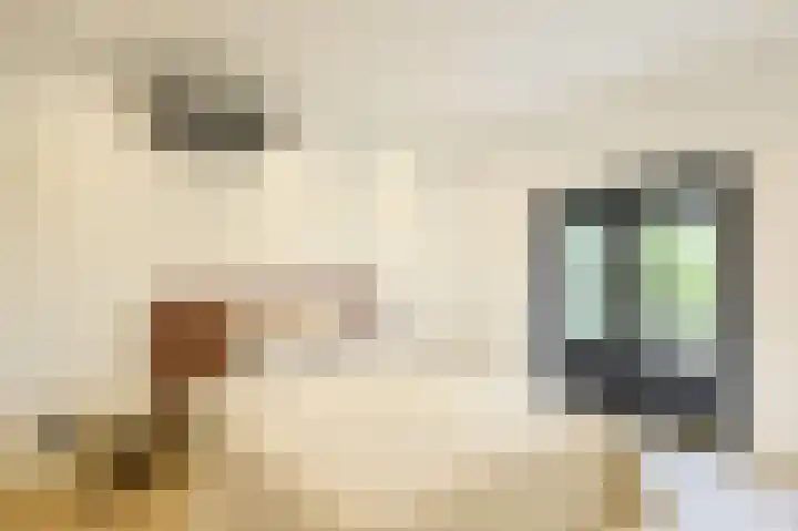 Parallelweg 51 Geldrop thumbnail 55