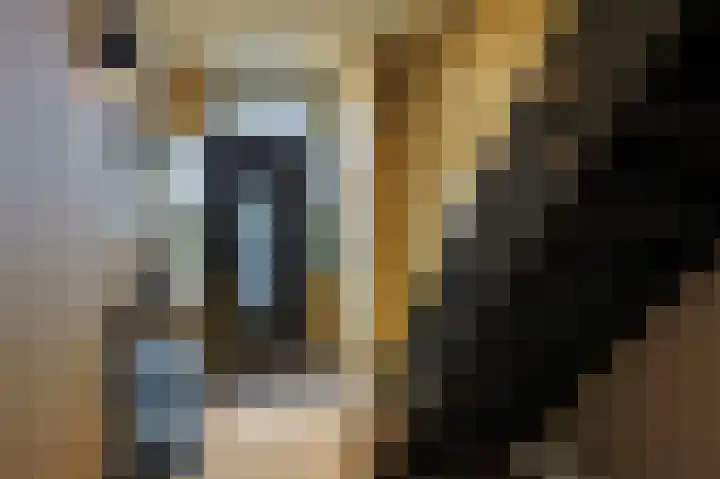 Parallelweg 51 Geldrop thumbnail 6