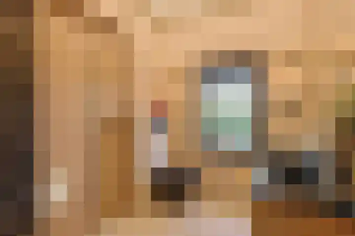 Parallelweg 51 Geldrop thumbnail 63