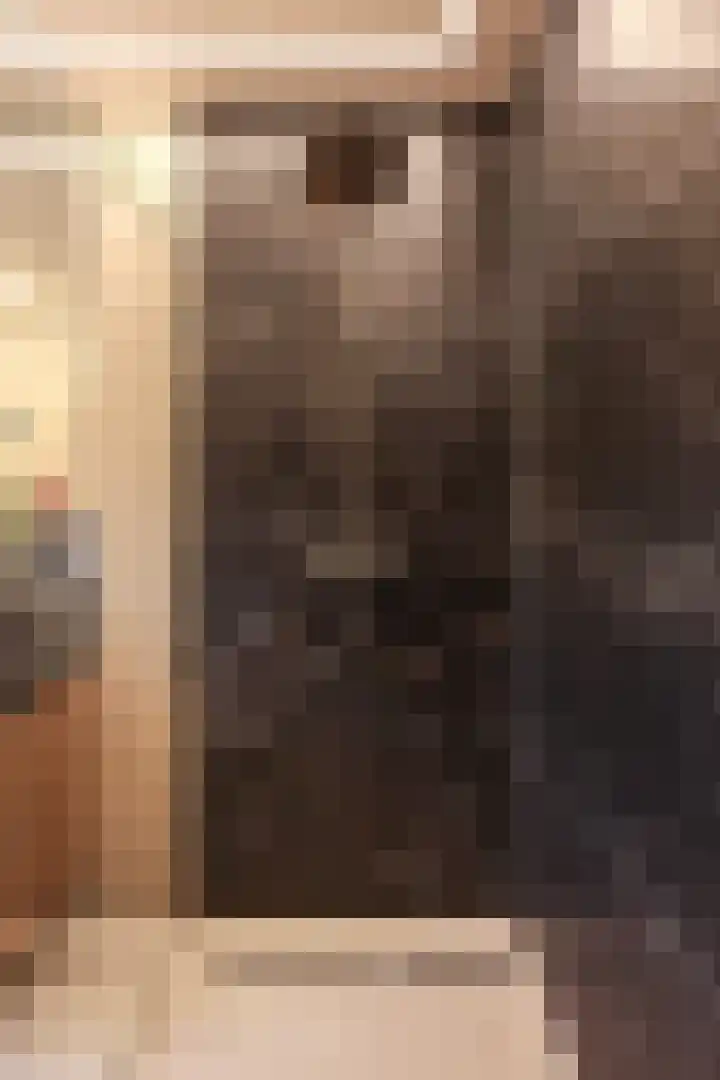 Parallelweg 51 Geldrop thumbnail 66
