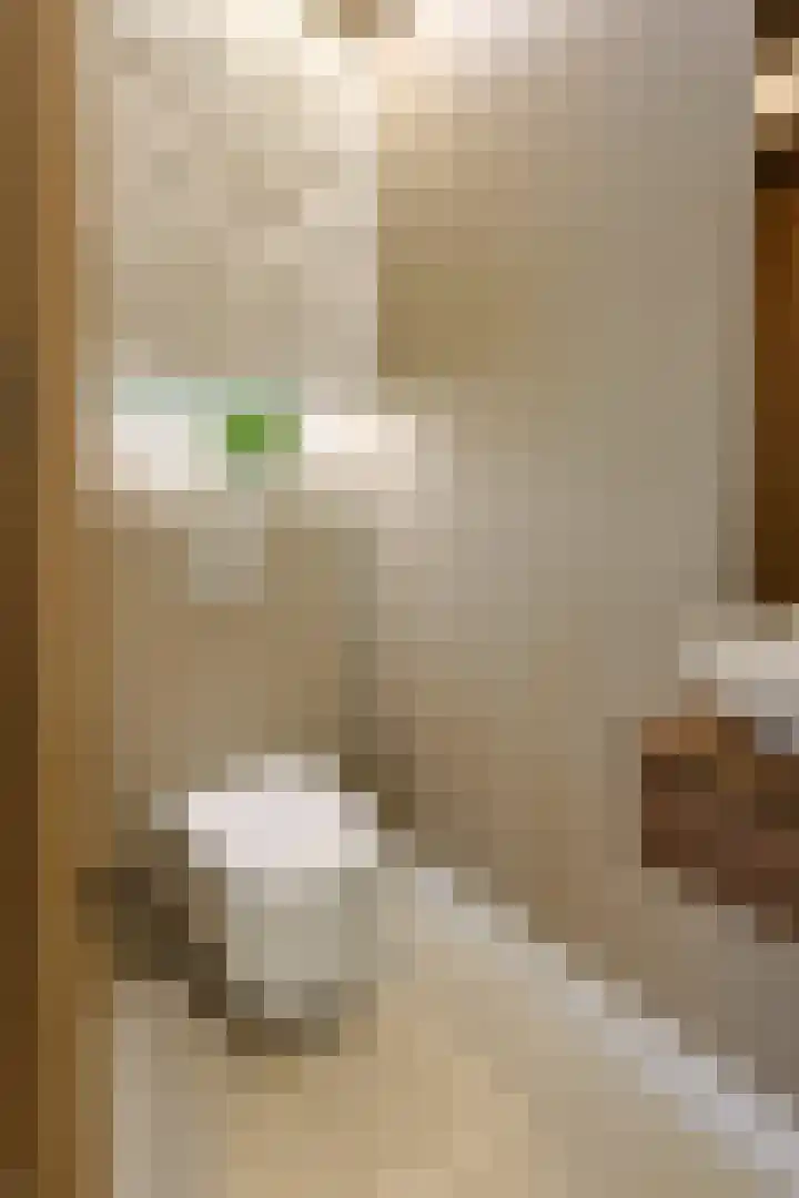Parallelweg 51 Geldrop thumbnail 7