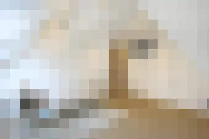 Parallelweg 51 Geldrop thumbnail 70