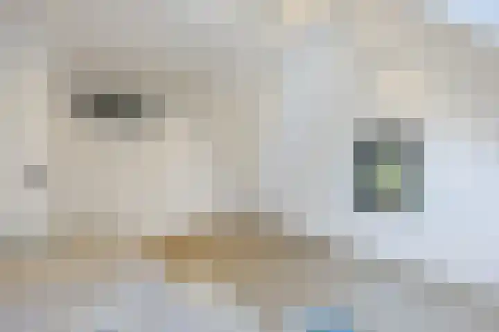 Parallelweg 51 Geldrop thumbnail 71