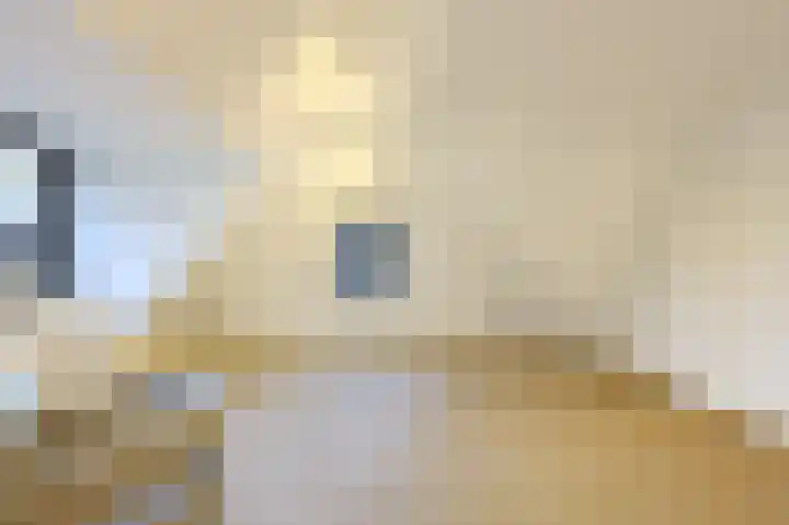 Parallelweg 51 Geldrop thumbnail 76
