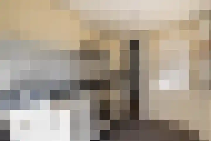 Parallelweg 52 Almelo thumbnail 7