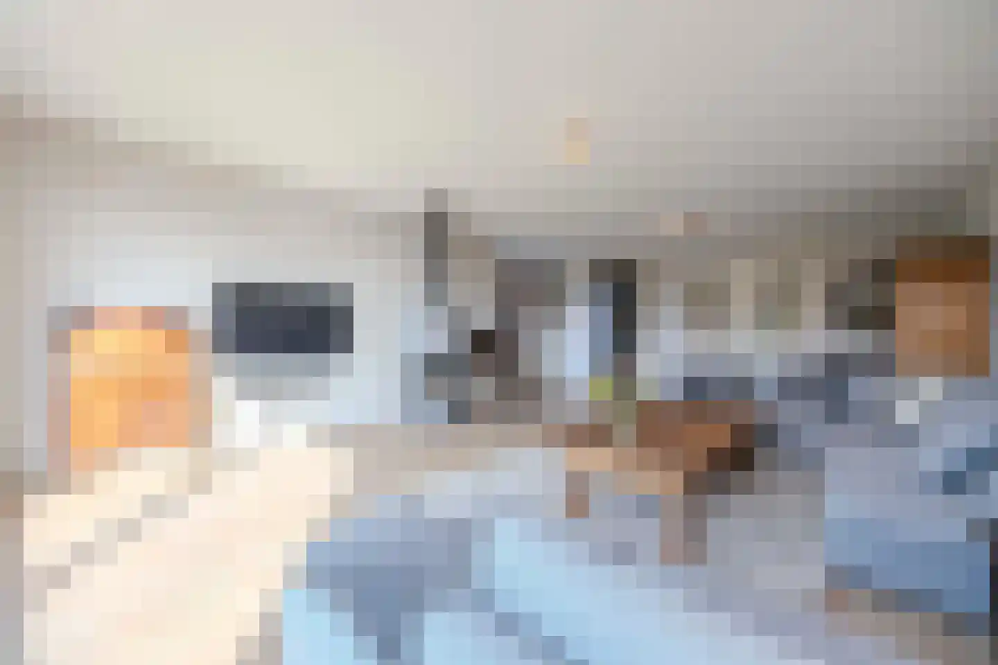 Parallelweg 53 Oirschot thumbnail 18