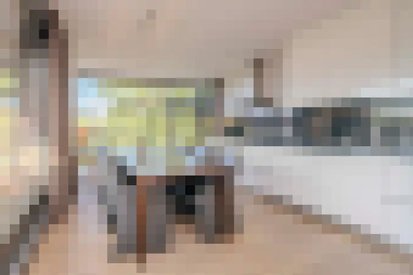 Parallelweg 53 Oirschot thumbnail 23