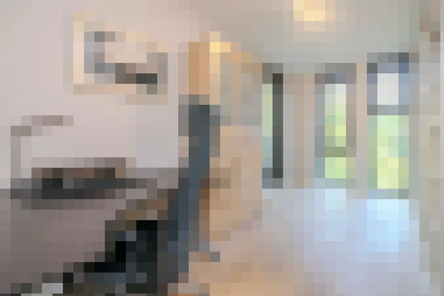 Parallelweg 53 Oirschot thumbnail 27